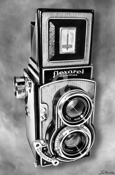 Fotografía titulada "FLEXARET" por Santos Merchán, Obra de arte original, Fotografía digital