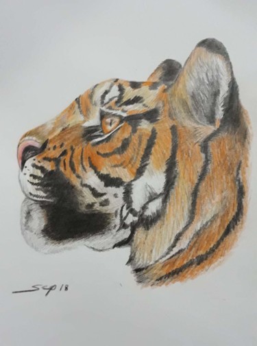 Peinture intitulée "Tiger" par São Vieira, Œuvre d'art originale, Crayon