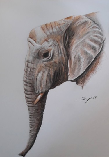 Malerei mit dem Titel "Elefant" von São Vieira, Original-Kunstwerk, Bleistift