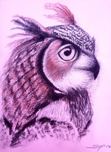 Schilderij getiteld "owl mocho" door São Vieira, Origineel Kunstwerk, Grafiet