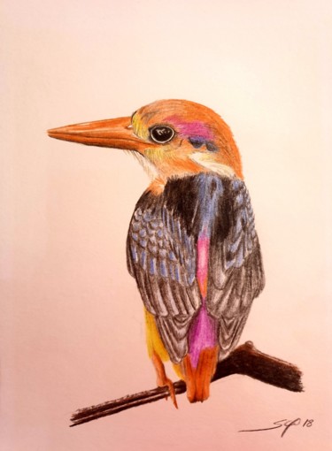 Peinture intitulée "ave" par São Vieira, Œuvre d'art originale, Crayon