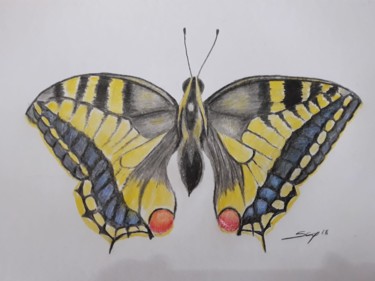Peinture intitulée "borboleta" par São Vieira, Œuvre d'art originale, Crayon