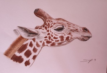 Peinture intitulée "Girafa" par São Vieira, Œuvre d'art originale, Crayon