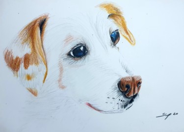 Painting titled "Dog" by São Vieira, Original Artwork, Pencil