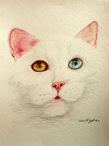 Dessin intitulée "Olhos de gato de du…" par São Vieira, Œuvre d'art originale, Crayon