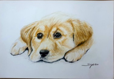 Peinture intitulée "Puppy" par São Vieira, Œuvre d'art originale, Crayon