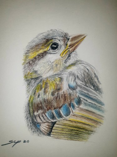 Pintura intitulada "Little bird" por São Vieira, Obras de arte originais, Lápis