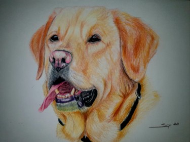 Peinture intitulée "My dream dog" par São Vieira, Œuvre d'art originale, Crayon