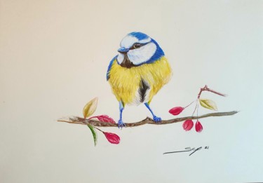 Peinture intitulée "Blue bird" par São Vieira, Œuvre d'art originale, Crayon