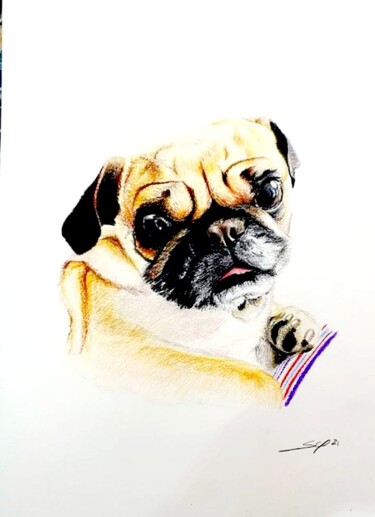 图画 标题为“Old dog II” 由São Vieira, 原创艺术品, 铅笔