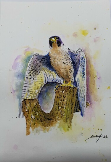 Painting titled "Falcão II" by São Vieira, Original Artwork, Watercolor