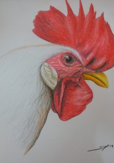Malerei mit dem Titel "Rooster" von São Vieira, Original-Kunstwerk, Bleistift