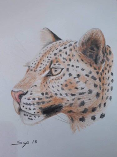 Peinture intitulée "Leopard" par São Vieira, Œuvre d'art originale, Crayon