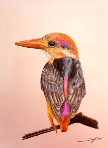 Pintura intitulada "ave" por São Vieira, Obras de arte originais, Lápis