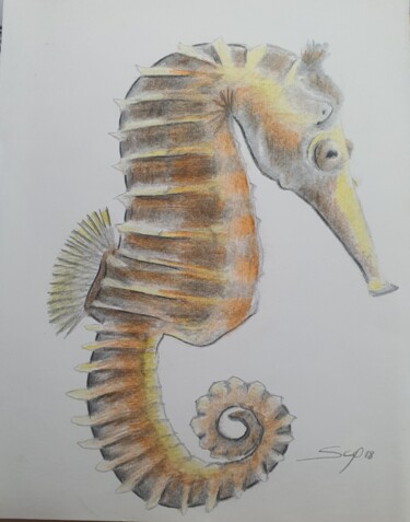 Painting titled "seahorse" by São Vieira, Original Artwork, Pencil