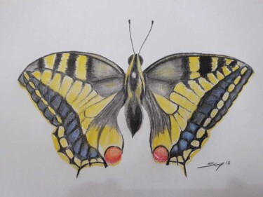 Pintura titulada "borboleta" por São Vieira, Obra de arte original, Lápiz