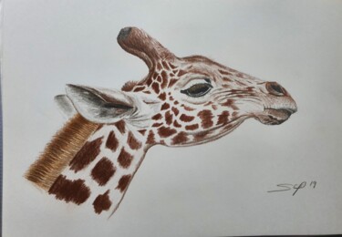 Peinture intitulée "Girafa" par São Vieira, Œuvre d'art originale, Crayon