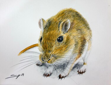 Malarstwo zatytułowany „Mouse” autorstwa São Vieira, Oryginalna praca, Ołówek