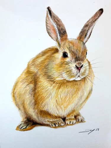 Drawing titled "Bunny" by São Vieira, Original Artwork, Pencil