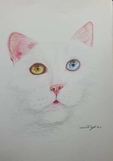 Desenho intitulada "Olhos de gato de du…" por São Vieira, Obras de arte originais, Lápis