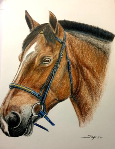 绘画 标题为“My horse” 由São Vieira, 原创艺术品, 铅笔