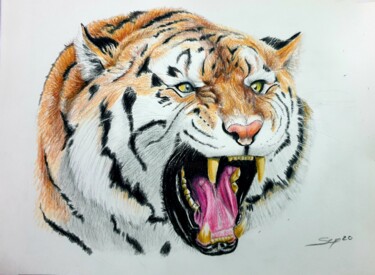 Peinture intitulée "Tigre3" par São Vieira, Œuvre d'art originale, Crayon