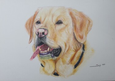 Pintura intitulada "My dream dog" por São Vieira, Obras de arte originais, Lápis