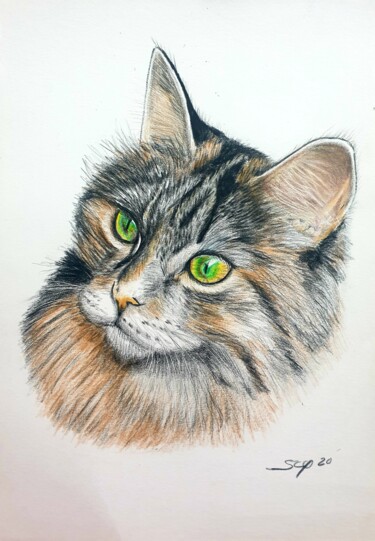 Peinture intitulée "Sweet cat" par São Vieira, Œuvre d'art originale, Crayon