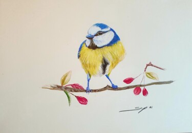 Pintura titulada "Blue bird" por São Vieira, Obra de arte original, Lápiz