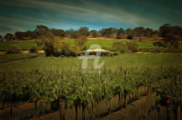 Digital Arts titled "Barossa Vineyard" by Alan Carson, Original Artwork