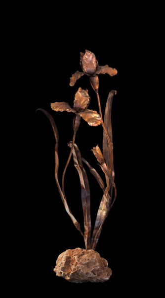 Design intitolato "Irises" da Sapir Gelman, Opera d'arte originale