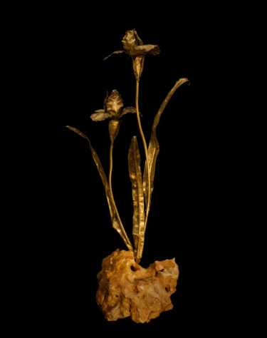 Design intitulée "iris small" par Sapir Gelman, Œuvre d'art originale