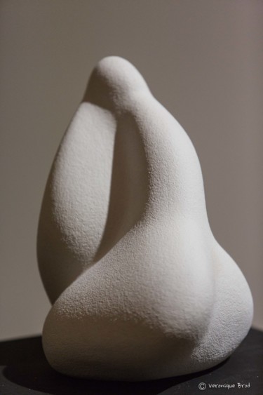 Sculpture titled "v-brod-sara-amato-g…" by Sara Amato-Gentric, Original Artwork