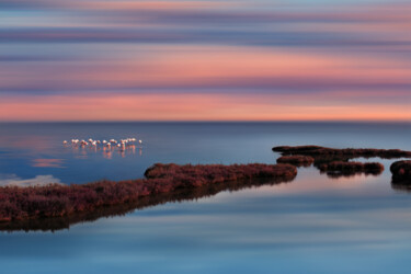 Fotografia intitulada "Le chemin des flama…" por Sara Fraysse, Obras de arte originais, Fotografia digital