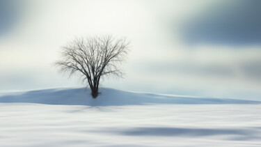 Fotografie getiteld "Paysage d'hiver" door Sara Fraysse, Origineel Kunstwerk, Digitale fotografie