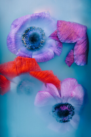 Photographie intitulée "Ephemeral Flowers #1" par Sara Gentilini, Œuvre d'art originale, Photographie numérique