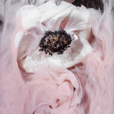 Fotografía titulada "Ephemeral Flowers #2" por Sara Gentilini, Obra de arte original, Fotografía digital
