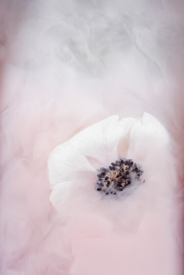 Photographie intitulée "Ephemeral Flowers #3" par Sara Gentilini, Œuvre d'art originale, Photographie numérique