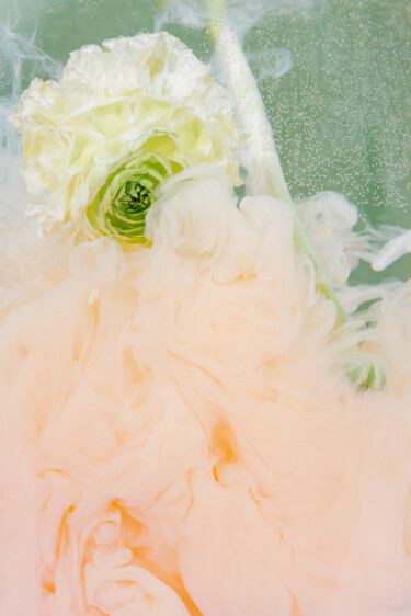 Fotografia intitolato "Ephemeral Flowers #4" da Sara Gentilini, Opera d'arte originale, Fotografia digitale