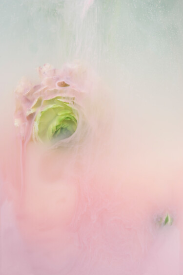 Фотография под названием "Ephemeral Flowers #5" - Sara Gentilini, Подлинное произведение искусства, Цифровая фотография