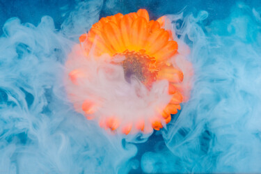 Фотография под названием "Ephemeral Flowers #8" - Sara Gentilini, Подлинное произведение искусства, Цифровая фотография