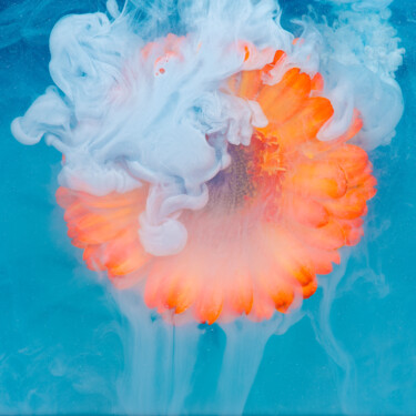 Photographie intitulée "Ephemeral Flowers #9" par Sara Gentilini, Œuvre d'art originale, Photographie numérique