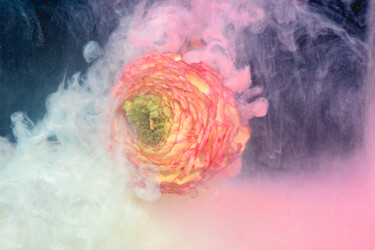 Fotografia zatytułowany „Ephemeral Flowers #…” autorstwa Sara Gentilini, Oryginalna praca, Fotografia cyfrowa