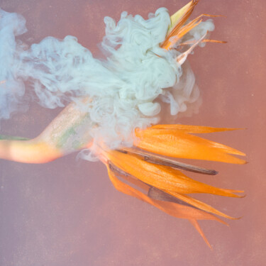 Photographie intitulée "Ephemeral Flowers #…" par Sara Gentilini, Œuvre d'art originale, Photographie numérique