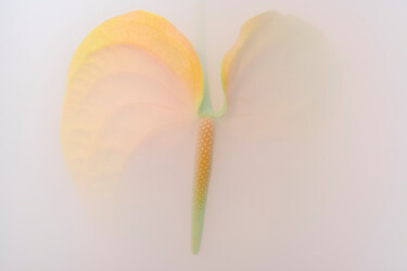 Photographie intitulée "Ephemeral Flowers #…" par Sara Gentilini, Œuvre d'art originale, Photographie numérique