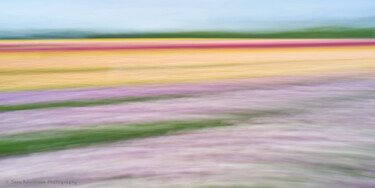 Photography titled "Bloom - limited edi…" by Sara Rawlinson, Original Artwork, Digital Photography