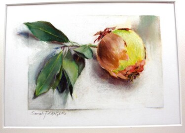 Dessin intitulée "oignon et feuilles…" par Sarah François, Œuvre d'art originale