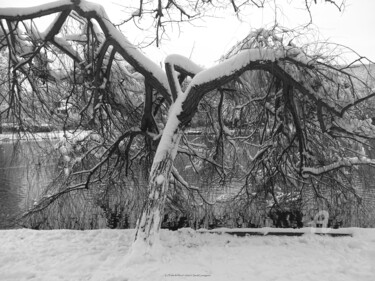Fotografia intitolato "Le Poids de l'hiver" da Sarah Leseigneur, Opera d'arte originale, Fotografia digitale