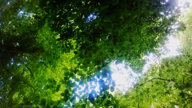 Photographie intitulée "La voûte de la forêt" par Sarah Leseigneur, Œuvre d'art originale, Photographie numérique