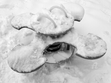 Fotografie getiteld "White winter" door Sarah Leseigneur, Origineel Kunstwerk, Digitale fotografie